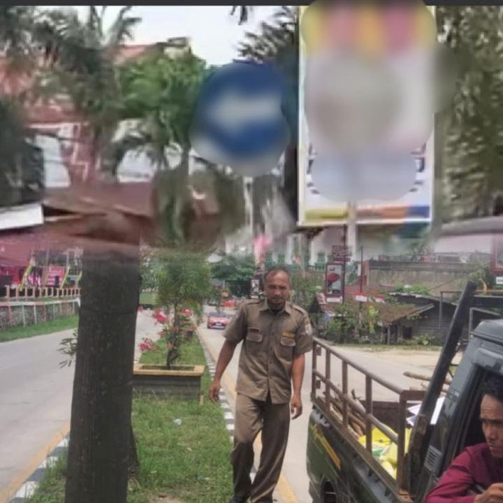 Satpol PP Pelalawan Kembali Tertibkan Baliho Bakal Cabup