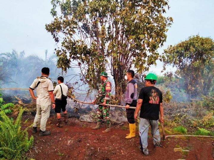 Lahan Gambut 1,4 Ha di Bonai Darussalam Terbakar, Tim Gabungan Berhasil Padamkan Api