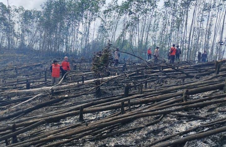 TNTN Terbakar, Diduga Akibat Pembukaan Lahan Ilegal