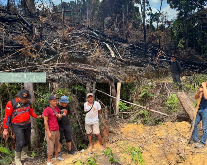 Nekat Bakar Lahan Hutan Produksi Terbatas di Rohul, Tiga Pria Ini Ditangkap Polisi