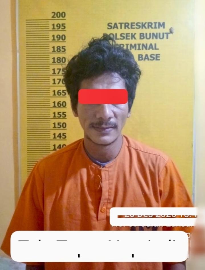 Pencuri Buah Sawit di PT SP Ditangkap, Satu Pelaku Kabur