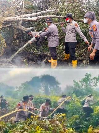 Kapolres Pelalawan Berjibaku Padamkan Api di Areal Semak Belukar Pangkalan Kerinci