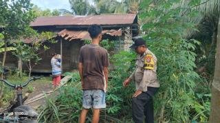 Polsek Enok Monitoring Tanaman di Perkarangan Rumah Warga, Dukung Ketahanan Pangan