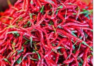 Harga Cabai Tembus Rp100 Ribu per Kilo di Pekanbaru, Pemko Tekan Laju Inflasi 