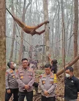 Baharkam Polri Kerahkan Polsatwa, dan Tim SAR ke Lokasi Karhutla 
