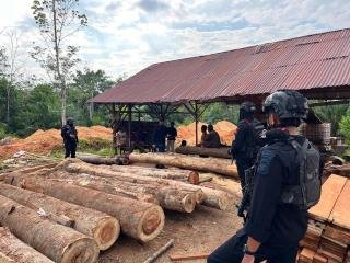 Dua Tahun Buron Pemodal Sawmill Ditangkap Polda Riau, Terancam Dijerat TPPU