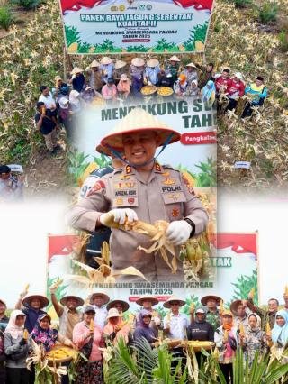Dukung Swasembada Pangan, Kapolres Pelalawan Bersama Ketua DPRD Panen Jagung Serentak