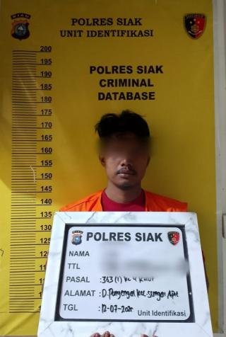 Polsek Sungai Apit Tangkap Pencuri 200 Tual Sagu, Tujuh Rekannya Sedang Dikejar!
