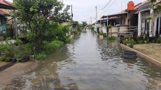 Diguyur Hujan Deras, Sejumlah Pemukiman Warga di Pekanbaru Terendam Banjir 