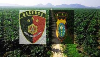 LSM Amatir Laporkan Dugaan Perkebunan Ilegal dan Perambahan Hutan ke Polda Riau