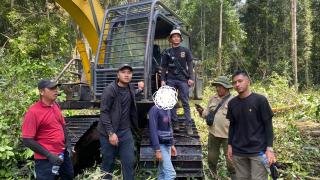 Polres Bengkalis Tangkap Mafia Perambah Hutan Lindung Bermodus Kelompok Tani, 2 Ekskavator Diamankan