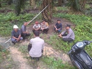 Bandar Sekijang Telusuri Perkebunan Sawit, Ajak Petani Tak Golput