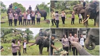 Ke PLG Sebanga, Kapolres Bengkalis Bersama Kapolsek Pinggir Bawa Pakan 1 Pikap untuk Gajah