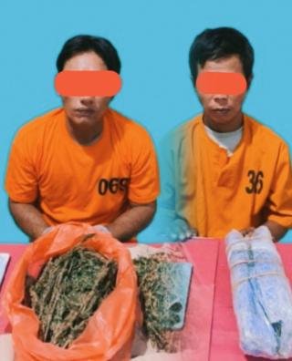 Polres Pelalawan Tangkap Dua Pengedar Narkotika, Sita 1,2 Kg Daun Ganja Kering