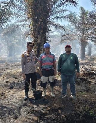 Polres Rohil Amankan Terduga Pelaku Karhutla, Buang Puntung Rokok Sembarangan