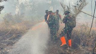 Asops Kasdam XIX Pimpin Pemadaman Karhutla di Teluk Lancar, Kesulitan Karena Lahan Gambut