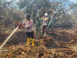 Polri-TNI dan Petugas terkait Padamkan Karhutla Lima Hektare di Rupat, Penyebab Diselidiki