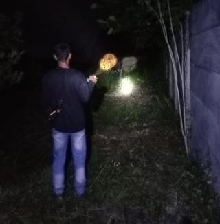 BBKSDA Riau Halau Kawanan Gajah lantaran Mendekati Kebun dan Rumah Warga 