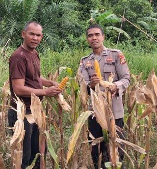 Petani Apresiasi Dukungan Polsek Rupat, Berharap Kolaborasi yang Telah Terjalin Terus Berlanjut