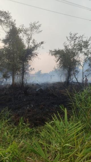 Water Bombing Dikerahkan untuk Padamkan Karhutla Seluas 4 Hektare di Tualang
