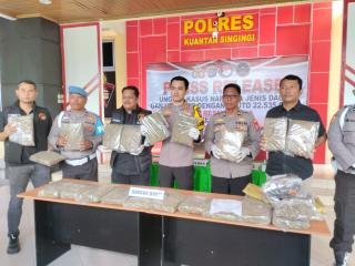 Polres Kuansing Ungkap Tiga Pemuda Pemasok 22 Kg Ganja, Satu Warga Pekanbaru 