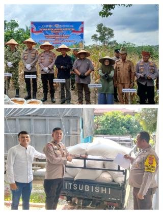 Kapolsek Kampar Boyong Hasil Panen Jagung Petani ke Bulog, Tembus Harga Rp6.400 per Kg