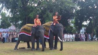 BBKSDA Riau Libatkan Dua Gajah Sumatera Jadi Peserta Upacara HUT ke-80 RI, Simbol Harmoni