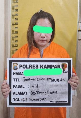 Ibu Muda Dianiaya Pelakor depan Suami dan Anaknya