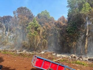 Karyawan BUMD Ditangkap Bakar Lima Hektare Lahan Hutan Produksi Konversi 