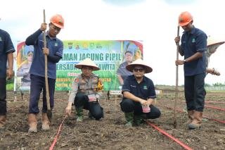 Polres Inhu Bersama PT PAS Tanam Dua Hektare Jagung