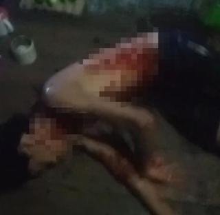 Pekerja Alat Berat di Teluk Lanus Diseret Harimau