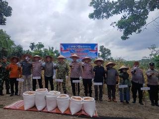 Polsek Kampar Bersama Polres Kampar Panen Jagung Serentak di Desa Ranah Singkuang