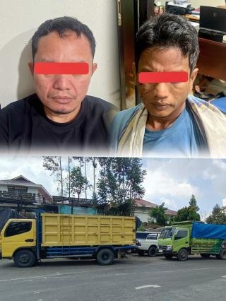 Polisi Tangkap Bos Kayu Asal Pekanbaru, Sita Dua Truk Bermuatan 12 Kubik Diduga Illegal Logging