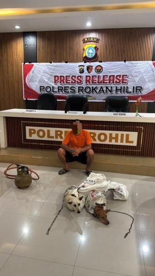 Jual Beli Daging Anjing, Pemilik Rumah Makan BPK Diamankan Polres Rohil