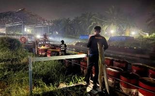 Polda Riau Ungkap Penyelewengan 41 Ton BBM Bersubsidi dan Amankan Ratusan Tabung LPG