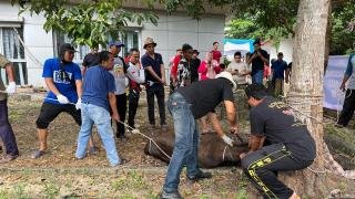PWI Riau Sembelih Tujuh Ekor Hewan Kurban, Disalurkan ke Masyarakat dan Anggota