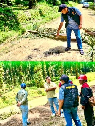 Kembali Karyawan PT Adei Mengalami Kecelakaan Kerja, Tewas Tersengat Listrik Ketika Panen Sawit