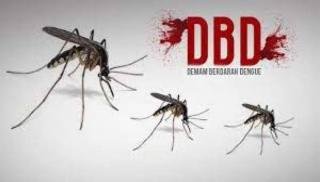 Diskes Catat 578 Kasus DBD di Pekanbaru, Tertinggi di Kecamatan Payung Sekaki 