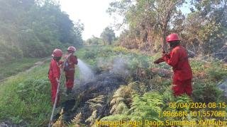 Manggala Agni Intensifkan Pemadaman Karhutla di Bengkalis dan Pelalawan