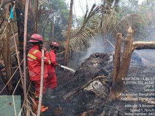 Tim Manggala Agni Sukses Halau Api Masuk Permukiman 