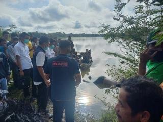 Polsek BB Selidiki Identitas dan Penyebab Tewasnya Pria Misterius Mengapung di Sungai Kampar