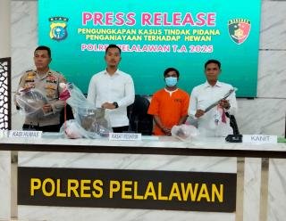 Jual Rendang dan Sup Anjing, Pemilik Rumah Makan Ditangkap Polres Pelalawan