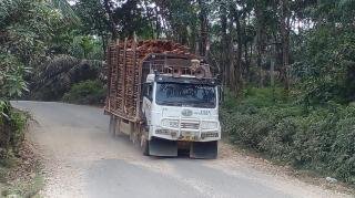 Tiap Hari Dilindas Ratusan Truk Kayu RAPP, Jalan di Kuansing Rusak Berat dan Warga Terpapar Debu