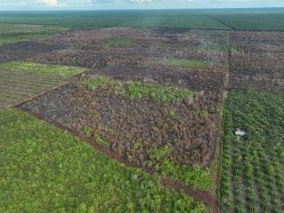 Manggala Agni dan Tim Gabungan Berhasil Padamkan Sejumlah Titik Api di Bengkalis 