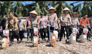 Langkah Nyata Dukung Swasembada Pangan, Polda Riau Perluas Lahan Jagung di Kandis