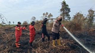 Hari Keenam Karhutla di Rupat, 15 Hektare Lahan Terbakar Berhasil Dipadamkan