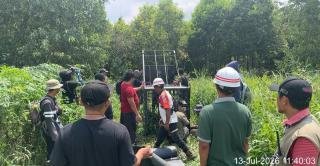 Karyawan HTI Tewas Dimangsa Harimau, Serangan Kedua di Kawasan yang Sama