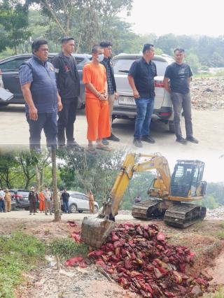 Polres Pelalawan Musnahkan 7,5 Ton Bawang Impor Ilegal Asal Malaysia 