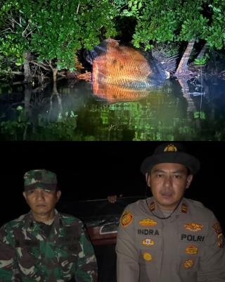 Bangkai Diduga Paus Ditemukan di Hutan Bakau Inhil