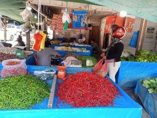 Harga Cabai Merah 